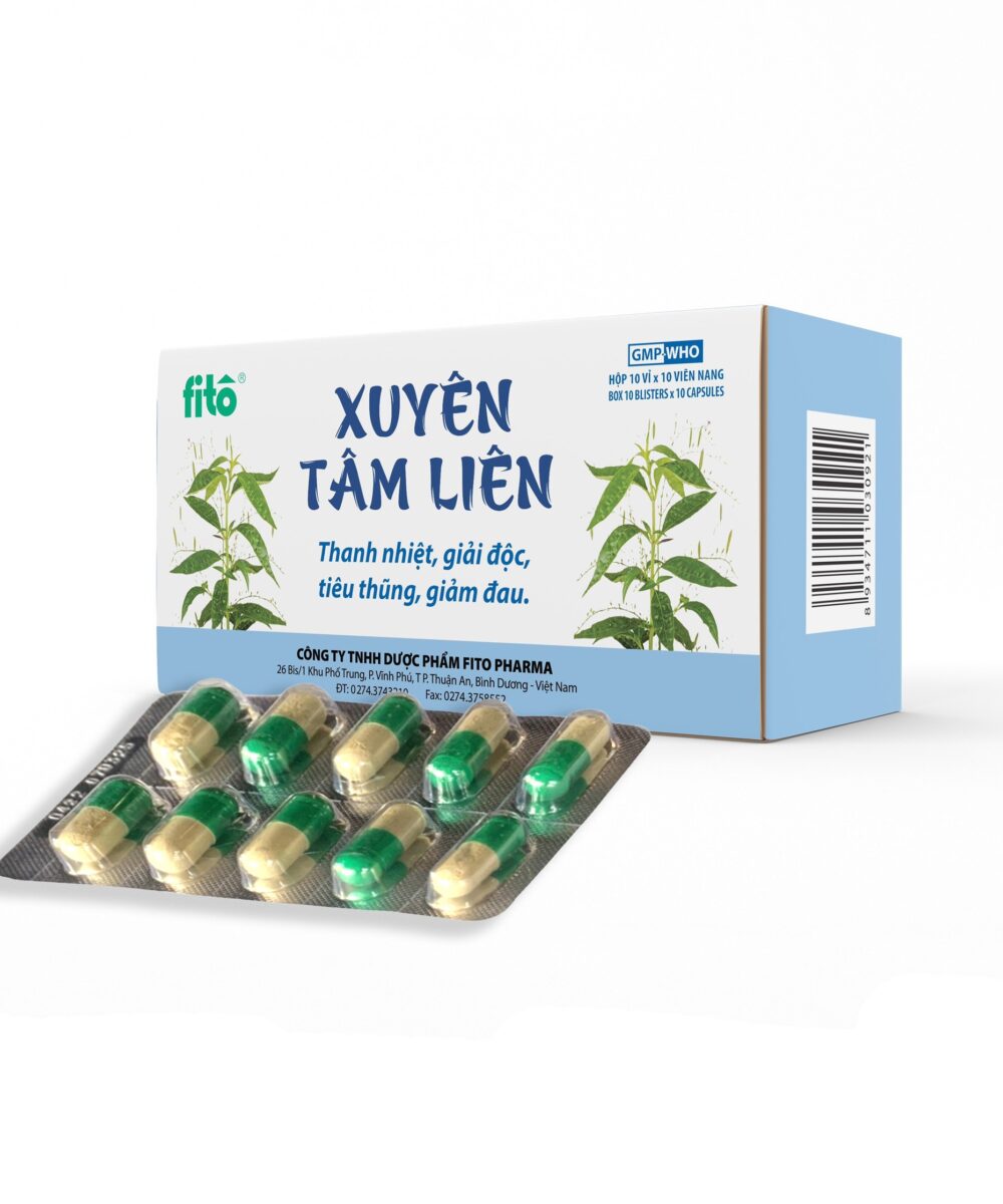 Xuyên tâm liên